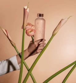 Equa - Waterfles - Glas - 750 ML - Roze -Bol Waterkoker Winkel 1096x1200 3