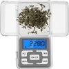 Mini Elektronische Zakgewicht LCD Gram Precisie Digitale Weegschaal Sieraden Schaal 200g X 0.01g