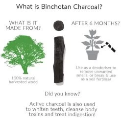 Black + Blum Binchotan Active Charcoal For Eau Good Water Bottles 4-pack -Bol Waterkoker Winkel 1200x1200 46