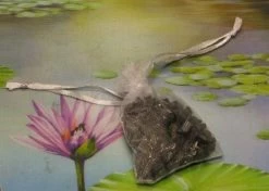 1000g Shungiet Shungite Stenen Voor Water En Ontstoring -Bol Waterkoker Winkel 1200x853