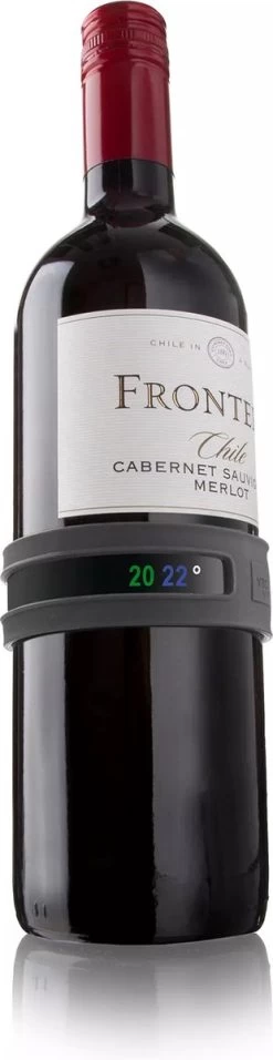 Wijnthermometer - Snap - Grijs - Vacuvin -Bol Waterkoker Winkel 310x1200 1