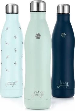 Juicy Blossom Drinkfles - 500ml - Roestvrij Staal - Stainless Steel Bottle - Waterfles - Drinkfles - Thermosfles (Muntgrijs)